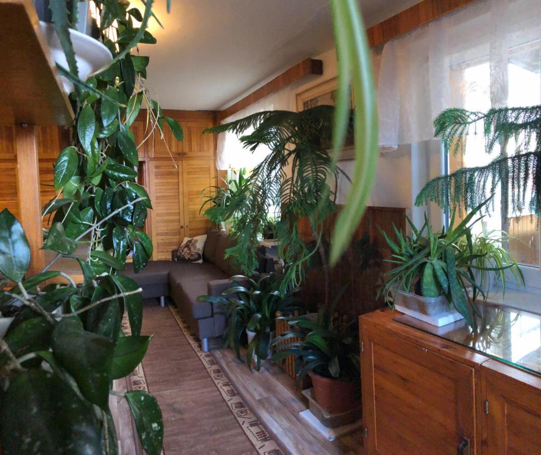 Apartman Olesnik Apartment Exterior photo